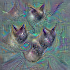 n02123394